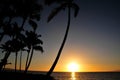 Tranquille elegant orange sunset in Maui Hawaii with palm tree Royalty Free Stock Photo