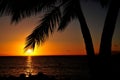 Tranquille elegant orange sunset in Maui Hawaii with palm tree Royalty Free Stock Photo