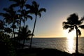 Tranquille elegant sunset in Maui Hawaii with palm tree Royalty Free Stock Photo