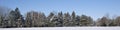 Tranquillity scene of a panoramic view of snow covered pine trees in winter park.