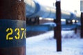 Trans-Alaska Oil Pipeline Royalty Free Stock Photo