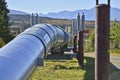 Trans-Alaska oil pipeline Royalty Free Stock Photo
