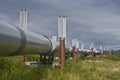 Trans-Alaska oil pipeline Royalty Free Stock Photo