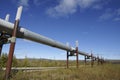 Trans-Alaska pipeline Royalty Free Stock Photo