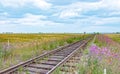 Railway in the blooming steppe