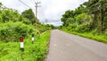 The Trans Papua Road that connects the Arfak Mountains.