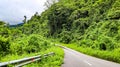 The Trans Papua Road that connects the Arfak Mountains.