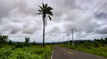 Trans Papua Road in Manokwari, West Papua.