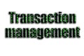 Transaction management. The inscription has a texture of the photography, which depicts the green glitch symbols