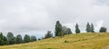 Transalpina road, Parang Mountains near clouds, hills