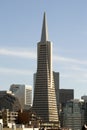 Transamerica Building at noon Royalty Free Stock Photo
