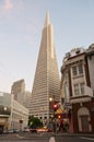 Transamerica Tower San Francisco Royalty Free Stock Photo