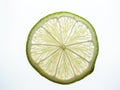 Translucent Backlit Wheel of a Key Lime Isolated on White Royalty Free Stock Photo