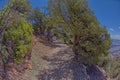 Transept Trail at Grand Canyon North Rim Royalty Free Stock Photo