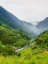 Mountain landscape - pine forest on the mountains and small river crossing by - fog on the mountains