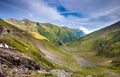 Transfagarasan mountain road with wild flowers from Romania Royalty Free Stock Photo