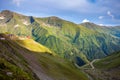 Transfagarasan mountain road with wild flowers from Romania Royalty Free Stock Photo