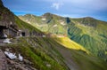 Transfagarasan mountain road with wild flowers from Romania Royalty Free Stock Photo