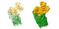Transferrin binding protein A (green) from Neisseria meningitidis complexed with human transferrin (orange) Royalty Free Stock Photo