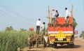 Transferring sugarcane from a bullock cart to a truck western India Royalty Free Stock Photo