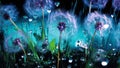 Mesmerizing Dandelion Dreams: A Stunning Blue-Lit Background