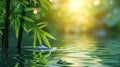 Tranquil Bamboo by the Water Background, Nature Wallpaper, Spa Backdrop, Green Plants, Natural Beauty Photo Royalty Free Stock Photo