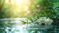 Tranquil Bamboo by the Water Background, Nature Wallpaper, Spa Backdrop, Green Plants, Natural Beauty Photo Royalty Free Stock Photo