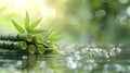 Tranquil Bamboo by the Water Background, Nature Wallpaper, Spa Backdrop, Green Plants, Natural Beauty Photo Royalty Free Stock Photo