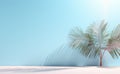 Paradise Found: A Stunning Palm Tree Shadow on a Mesmerizing Background Royalty Free Stock Photo
