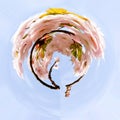 Transformation of spherical panorama 360 degrees. Spherical abstract view on a sakura on the cloudy sky background a curved space Royalty Free Stock Photo