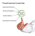 Transformational Leadership Royalty Free Stock Photo