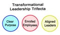 Transformational Leadership Trifecta Royalty Free Stock Photo