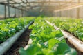 Transformative Agricultural technologies. Generate Ai