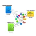 Transformer Model Diagram Showcasing Encoder, Decoder, and Attention Mechanisms in Detail Royalty Free Stock Photo