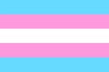 Transgender community flag with five horizontal stripes. Two light blue color for baby boys, two pink for girls, with white stripe