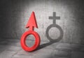 Transgender concept. Sex change. Latent life. Men badge cast shadow in form of woman badge. 3d Royalty Free Stock Photo