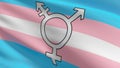 Transgender flag. Community, LGBT worldwide which have adopted the Rainbow flag, the various transgender individuals, organization