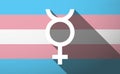 Transgender flag