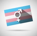 Transgender flag