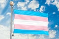 Transgender flag waving in blue cloudy sky, 3D rendering