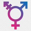 transgender symbol . Vector Royalty Free Stock Photo