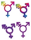 Transgender Symbols Illustration Royalty Free Stock Photo