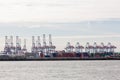 Transhipment cranes in Hamburg Sea Port Royalty Free Stock Photo