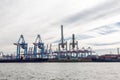 Transhipment cranes in Hamburg Sea Port Royalty Free Stock Photo