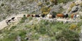 Transhumance in the Sierra de Gredos in Avila Royalty Free Stock Photo
