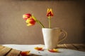 Transience Still life tulips cup petals Royalty Free Stock Photo