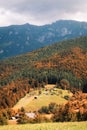 Mountain autumn in Transilvania, Romania Royalty Free Stock Photo