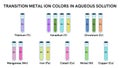 Transition metal ion colors in aqueous (water) solution illustration