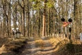 Transition tracks in the forest. Traffic lights. Forest. Royalty Free Stock Photo