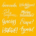 Translated from Spanish handwritten phrases Welcome,Thank You, Why etc. Vector calligraphy set on white background.